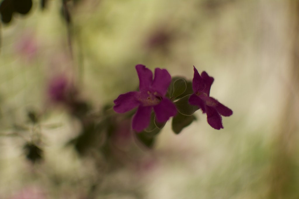 இருக்க எதற்கு