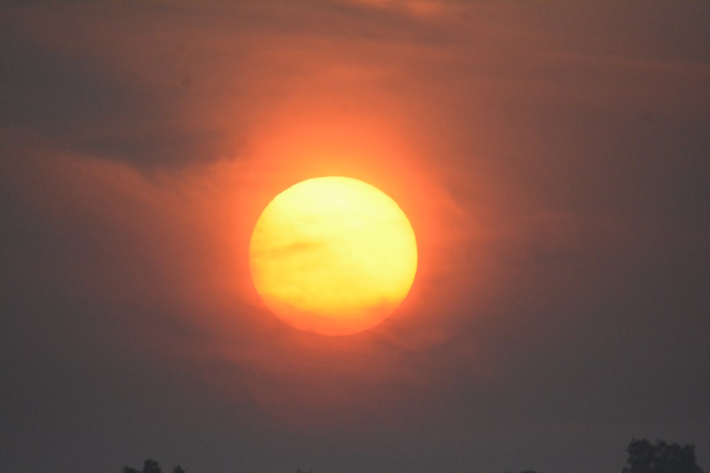 அவன்  விதைத்தவன்