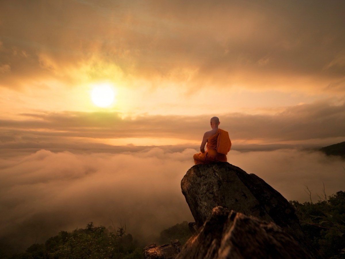 The Architect’s Manifesto: A Mindful Survival Guide for the Wide&nbsp;Awake