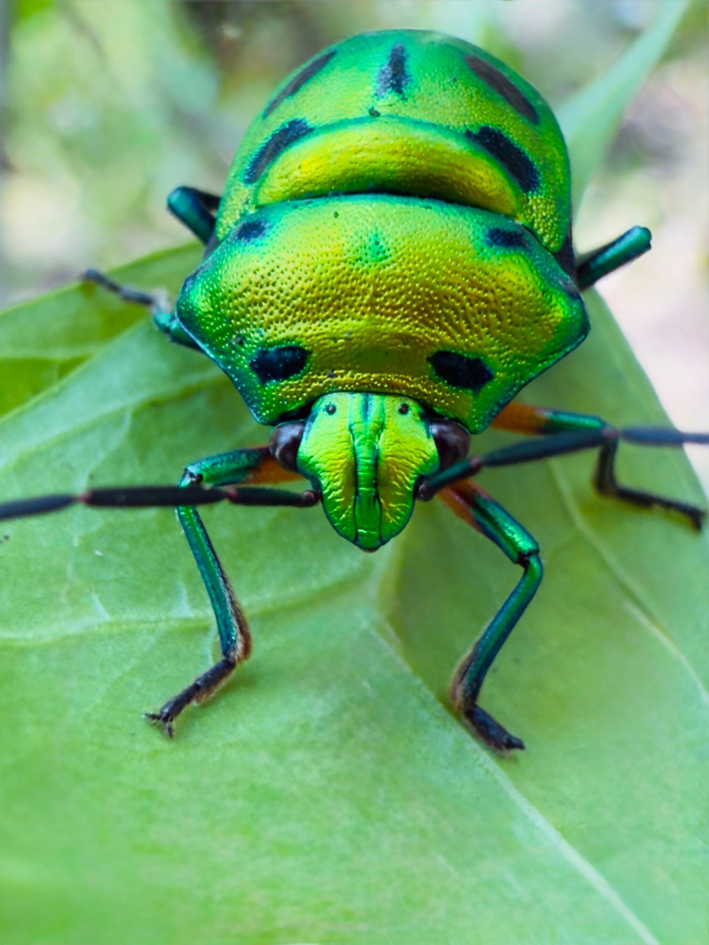 The Aura & Awareness&nbsp;Glitch