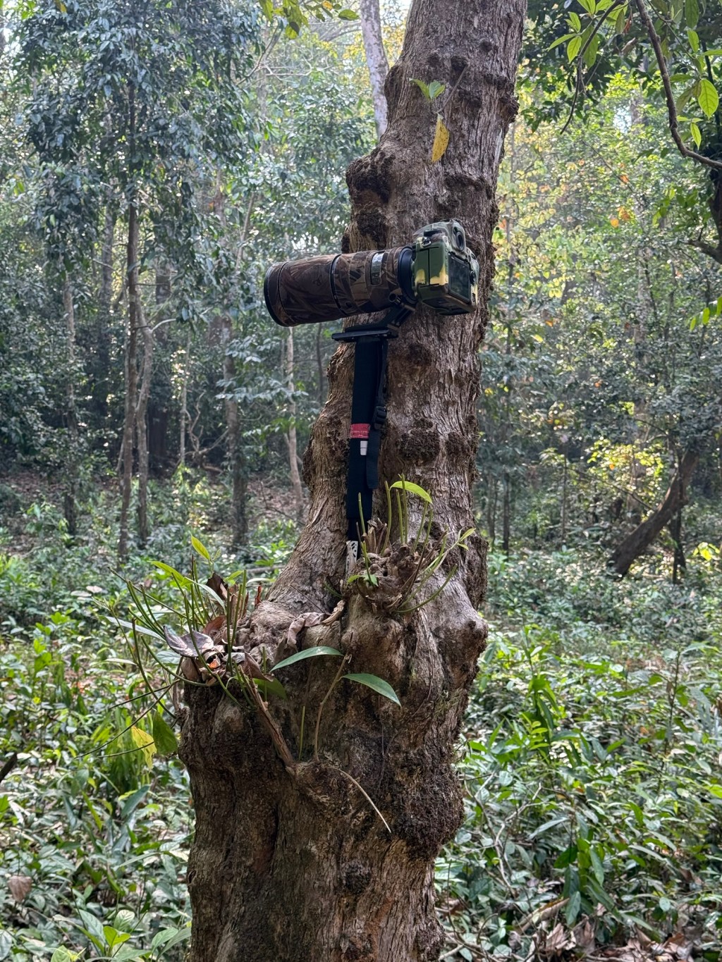 The Myth of Feminine Men: What Society Is Actually Getting&nbsp;Wrong