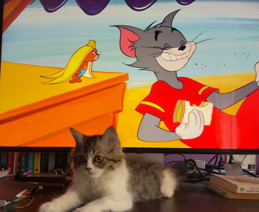 The Catoscope